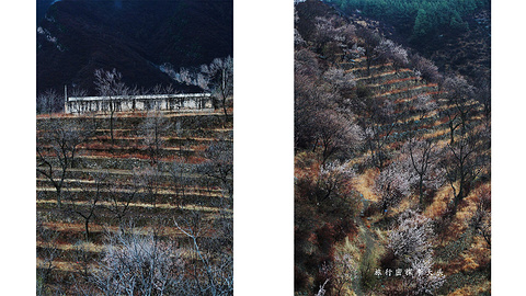蒲洼东村旅游景点攻略图