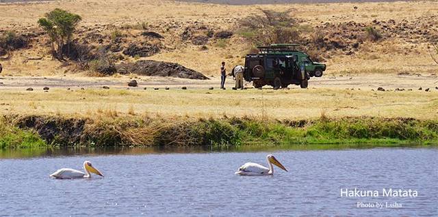 恩戈罗恩戈罗自然保护区