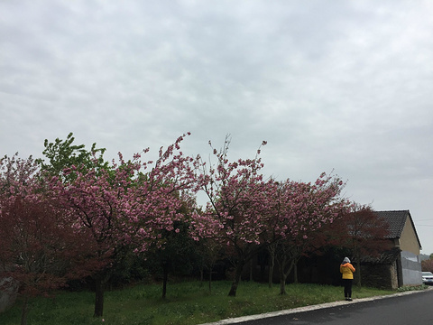 雪窦山旅游景点攻略图