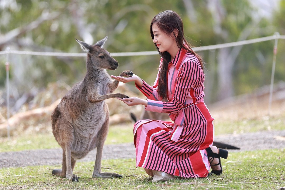Helen晓世界 撩遍袋鼠考拉 品尝海鲜美酒 自驾玩转南澳大利亚 阿德莱德旅游攻略 游记 去哪儿攻略