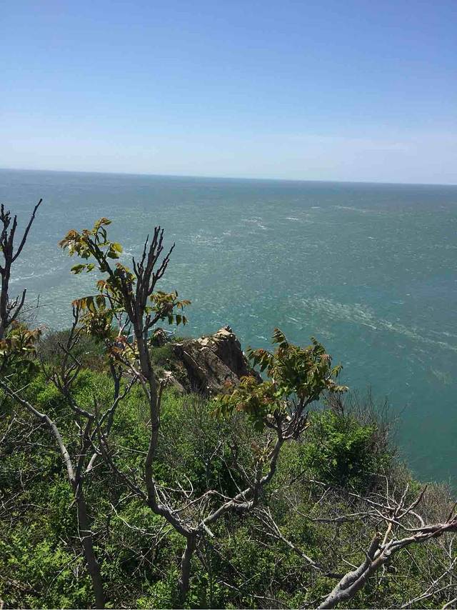 老铁山黄渤海分界线