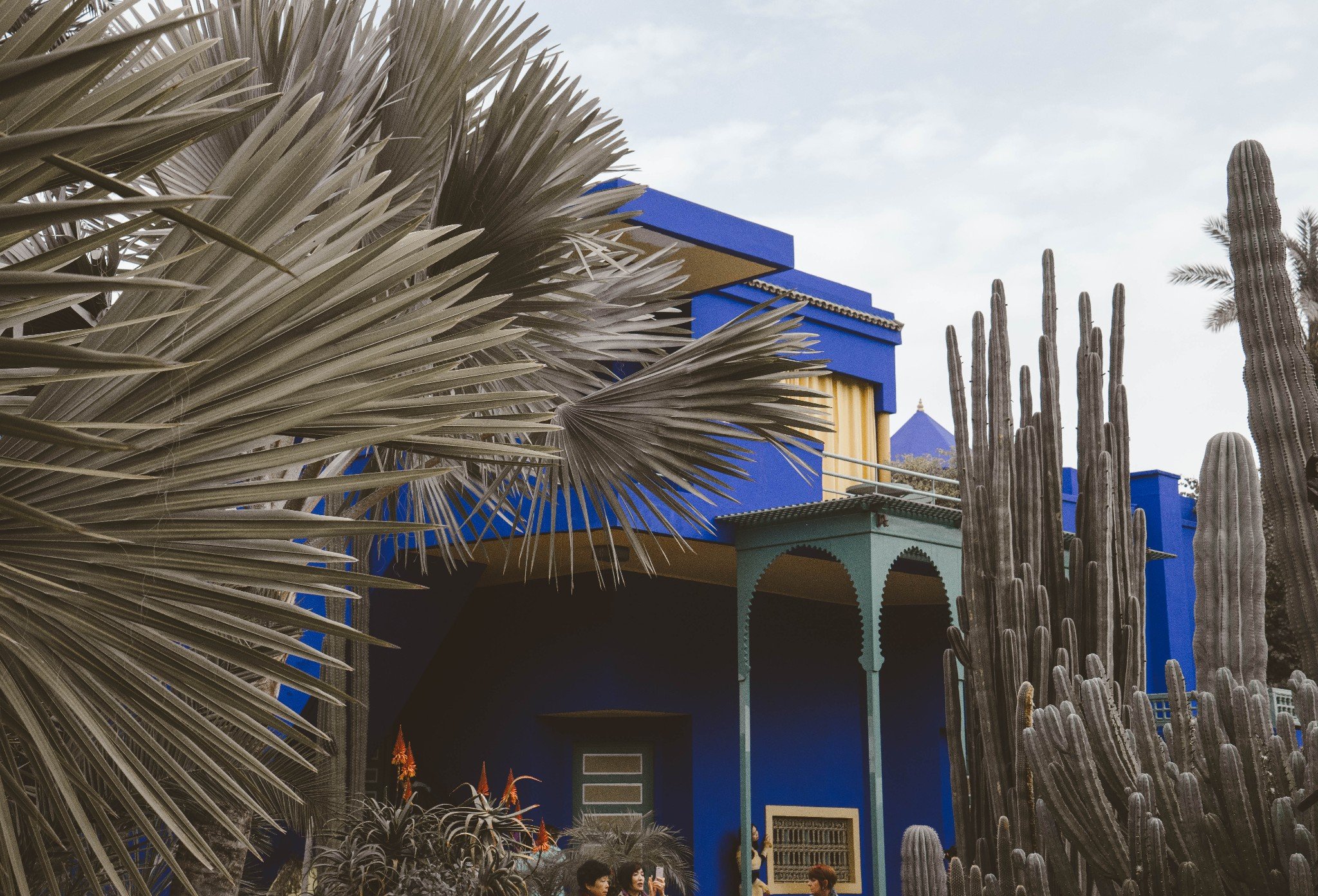 使这个深爱着 马拉喀什 的异乡人最终没能如他所愿在他最爱的花园里走