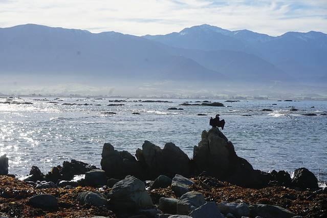 凯库拉半岛步道