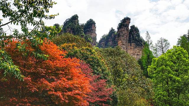 张家界国家森林公园-大氧吧广场