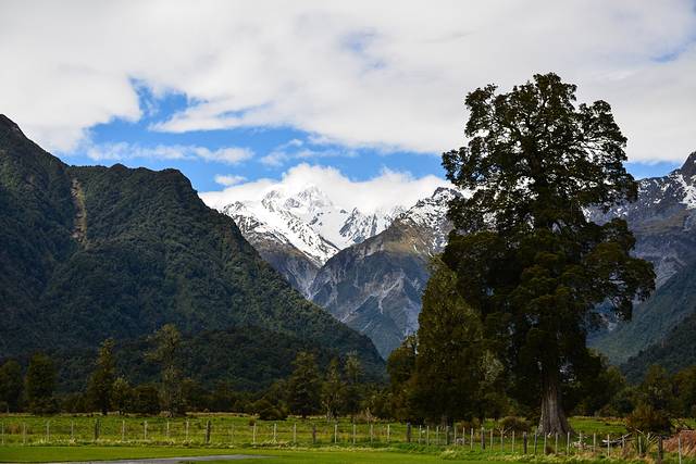 福克斯冰川小镇