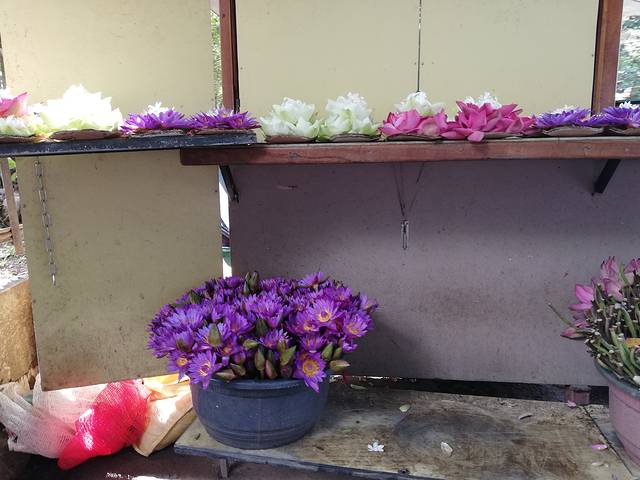 科伦坡国际机场