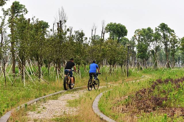 湖南松雅湖国家湿地公园