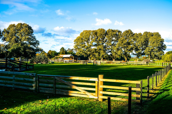 agrodomefarmland是新西兰最佳旅游景点之一是新西兰面积最大的观光