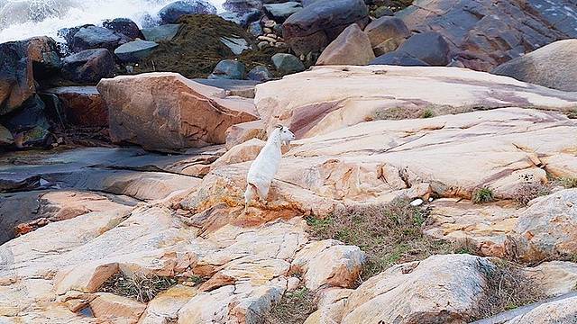 #三伏天,去海边#中国最好玩儿的优质海岛清单