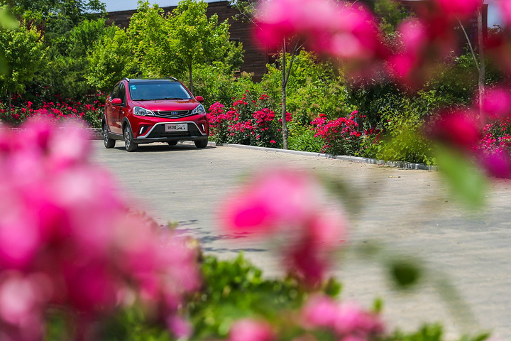 即将上映的开心麻花团队打造的喜剧电影《西虹