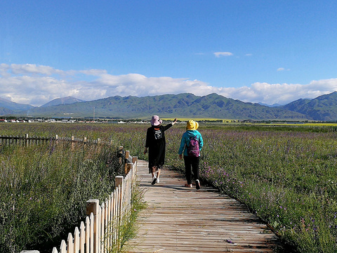 草原石人风景区旅游景点攻略图