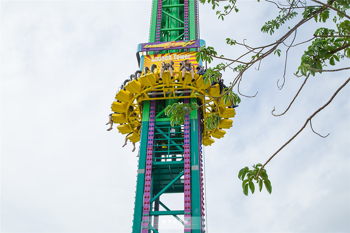 任性玩不停的机动游戏