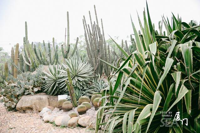 厦门园林植物园