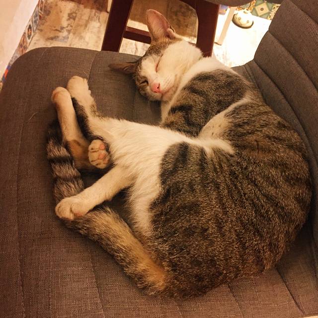 旺宴西街无名米粉