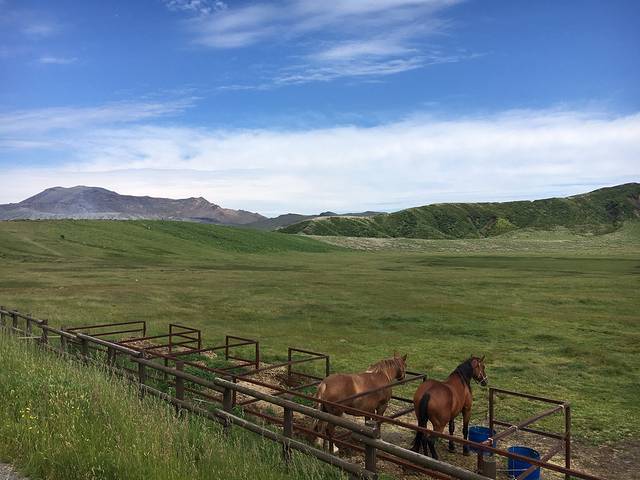草千里（草千里之滨）