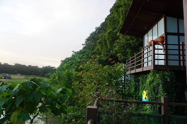 怡保双威迷失乐园