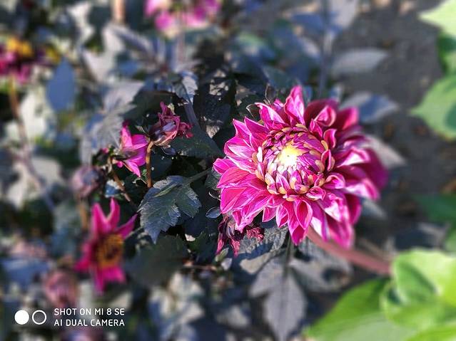 安徒生童年故居