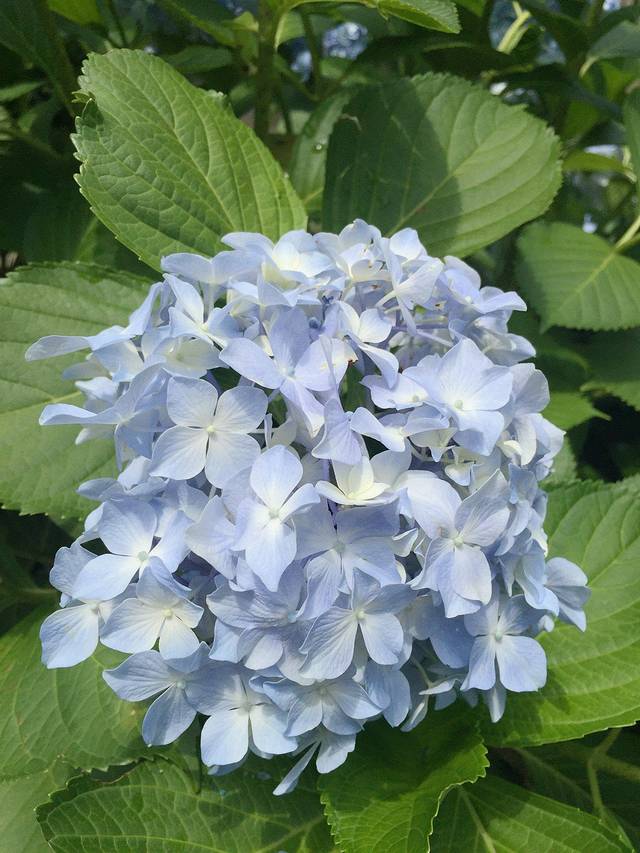 吴越春秋游乐园