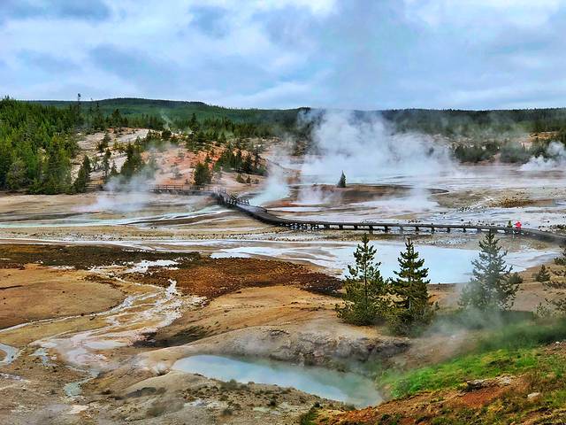 诺里斯间歇泉盆地