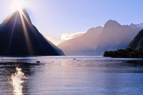 米尔福德峡湾