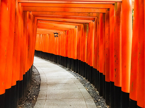 伏见稻荷神社