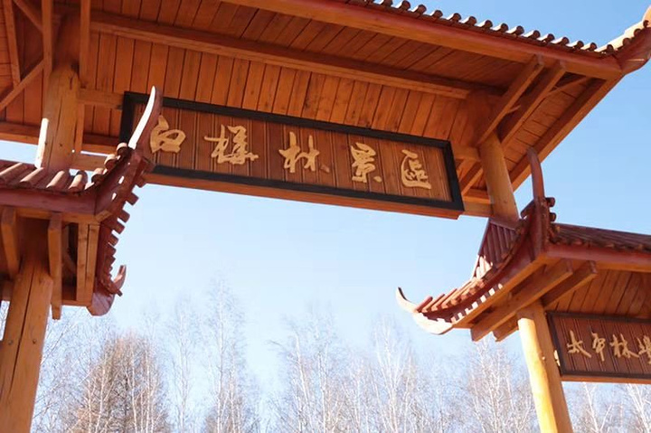老鹰嘴太平村莫尔道嘎国
