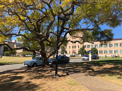 昆士兰大学