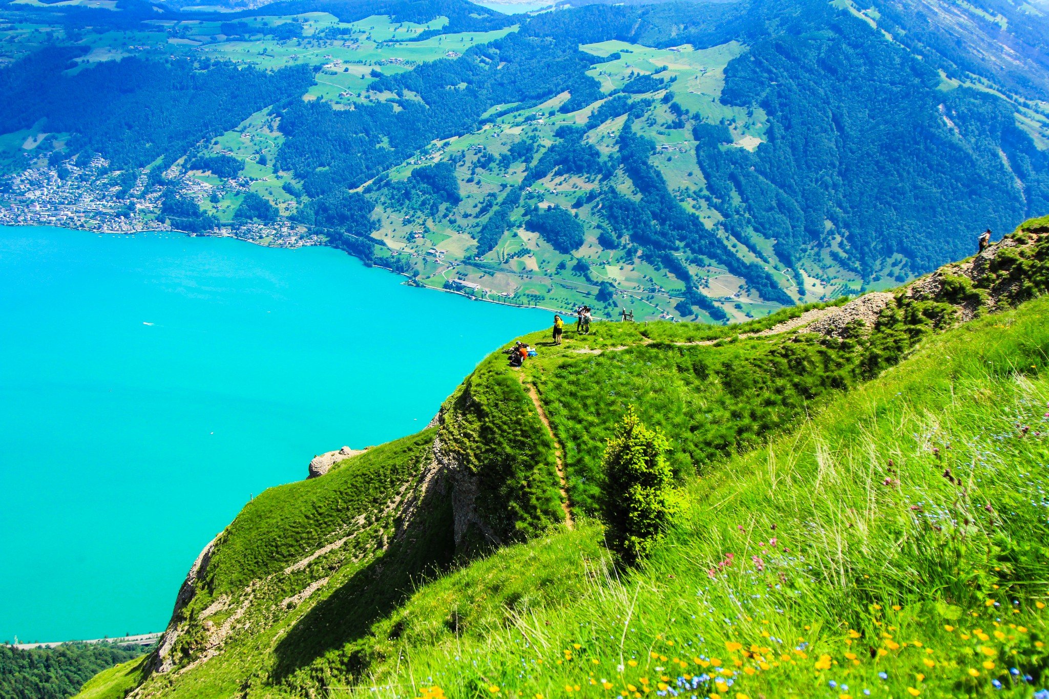 拍拍路上的风景还有瑞士特色的登山小火车这份大自然的原始令人愈发的