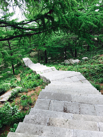 "那条路离我们昨晚住的地方特别近，后山的风景很美，天然森林氧吧，路上遇见的人都能数出来，独自下山..._后石坞"的评论图片