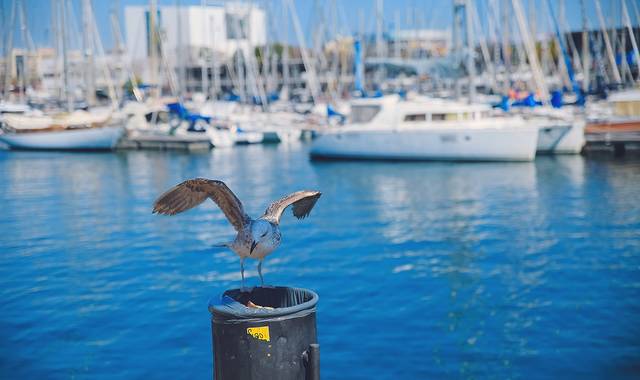 巴塞罗那塔海滩