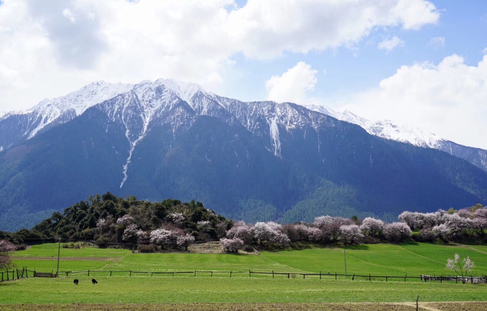 嘎朗王宫遗址在波密县城西南距县城15公里左右她依山而建伴着嘎朗湖