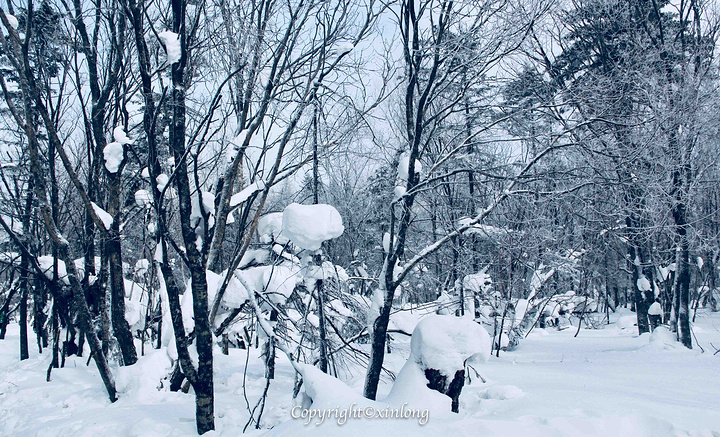 天寒地冻图片,天寒地冻瑟瑟发抖图片,天寒地冻_大山谷图库