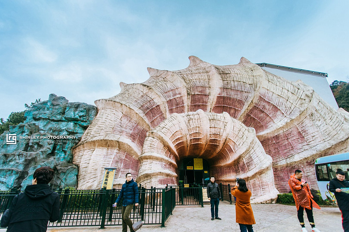 它以奥陶纪地质年代为主题,引进与全球同步领先的5d视听科技,利用座椅