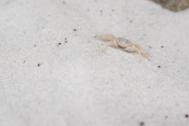 阿米亚娜度假水疗中心