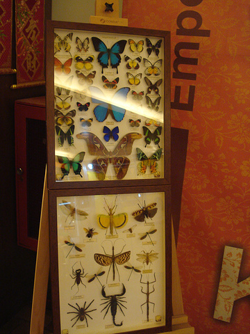 2017聚集了马来西亚有名的蜡染工艺、手工艺