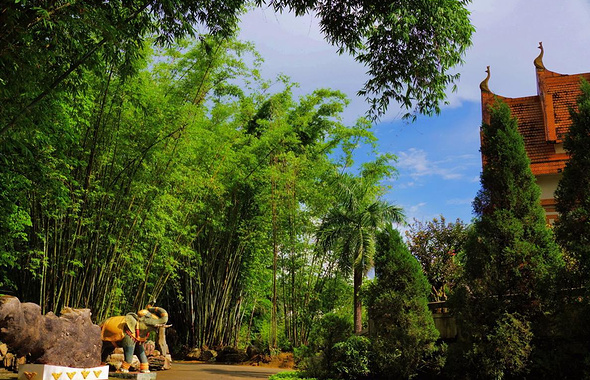 勐巴娜西大花园