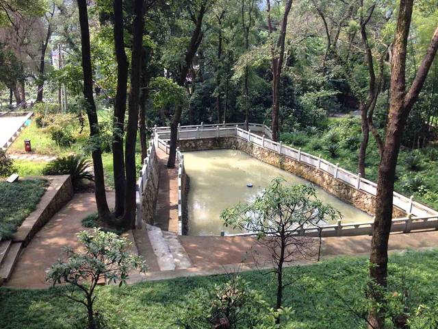 江厦森林公园(江夏乡)