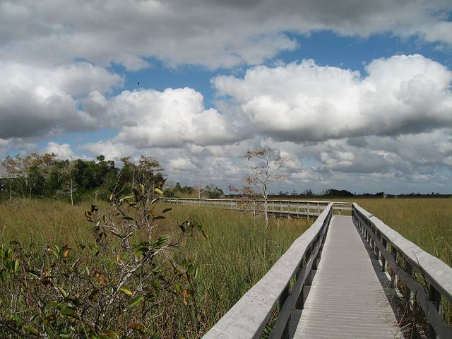 大沼泽地国家公园