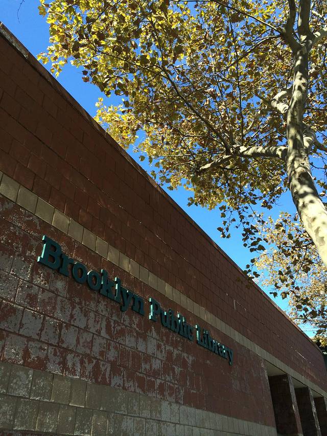 康尼岛海滩木径路