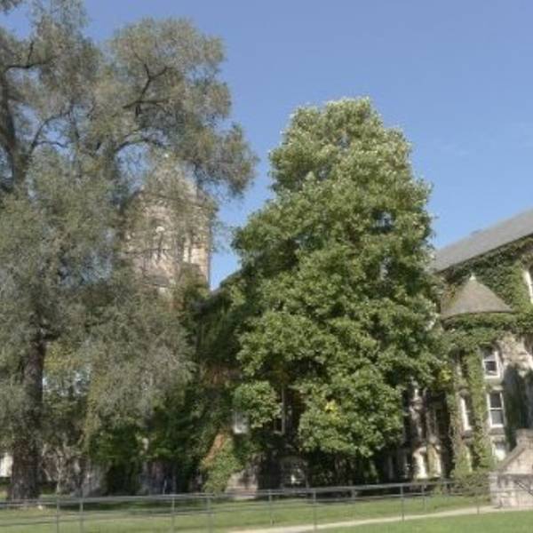 8多伦多大学门票,多伦多多伦多大学游玩攻略,