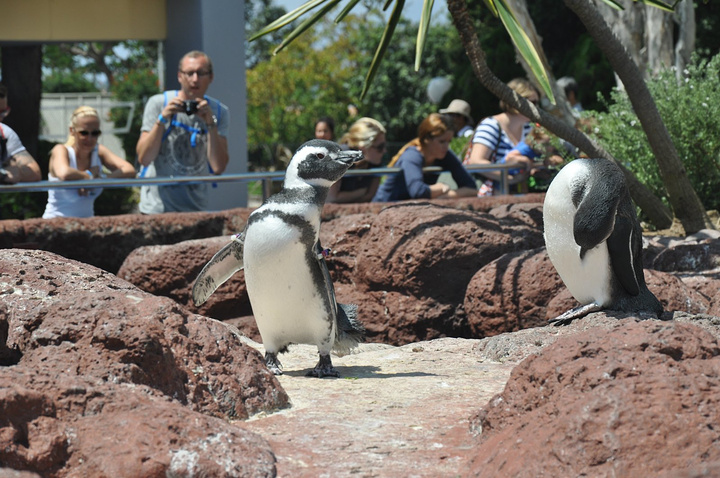 圣地亚哥(英语:sandiego,又译圣迭戈,)是美国加利福