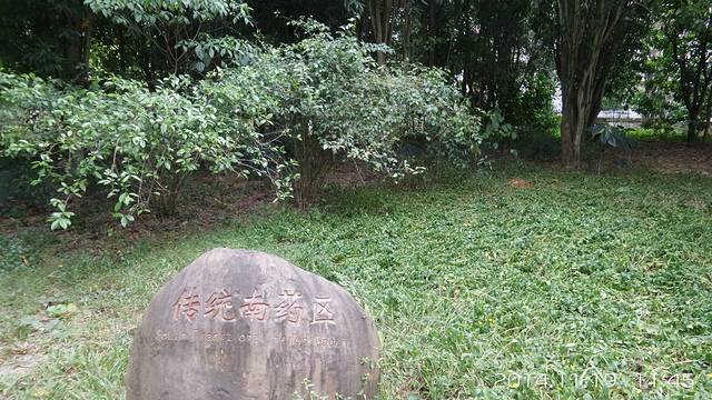 西双版纳南药园景区