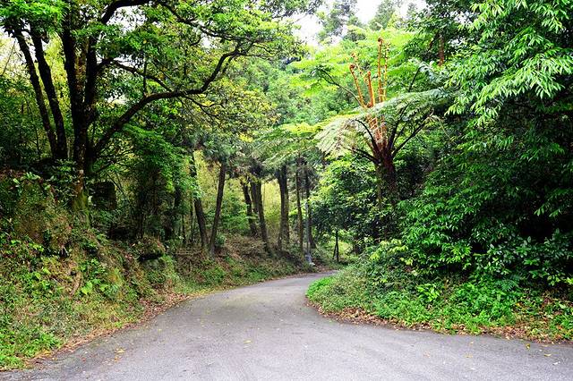 阳明山国家公园