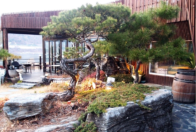 餐厅的庭院不错吧,如果是夏天这里会更清新一些吧?