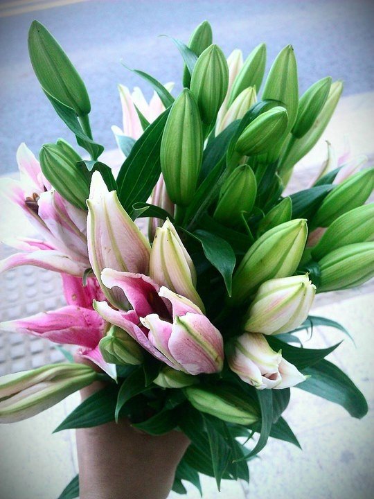 纪念在滇藏线上的美丽相遇_丽江旅游攻略_自