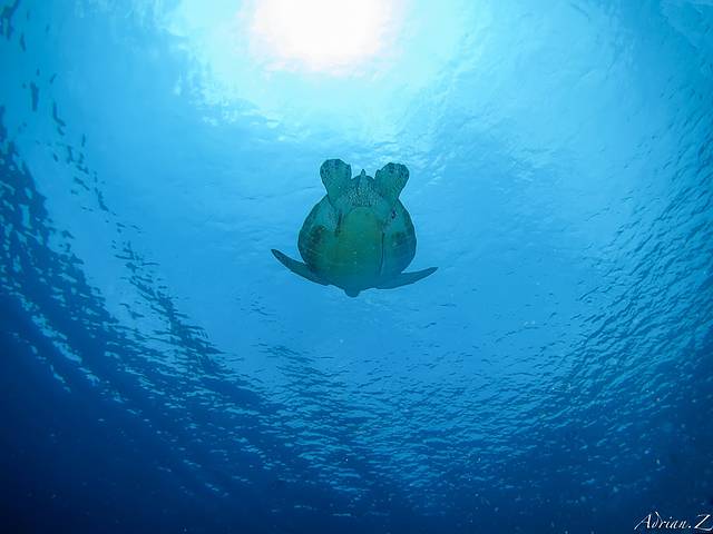 垦丁国家公园游客中心