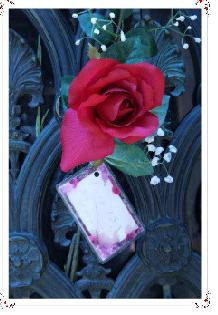 阿根廷最著名的尸体图片