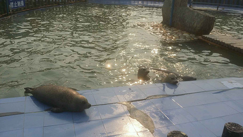 月牙湾公园旅游景点攻略图