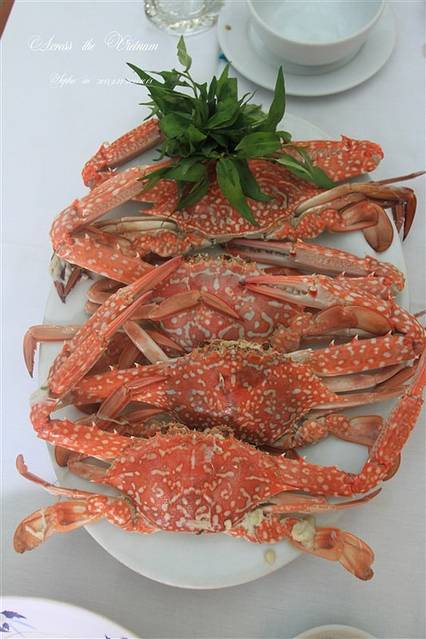 越南精华游-----大越国南行记