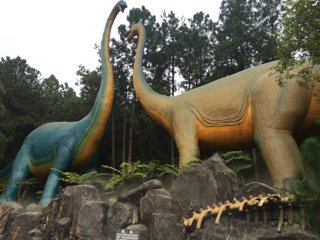 森波拉奇妙世界